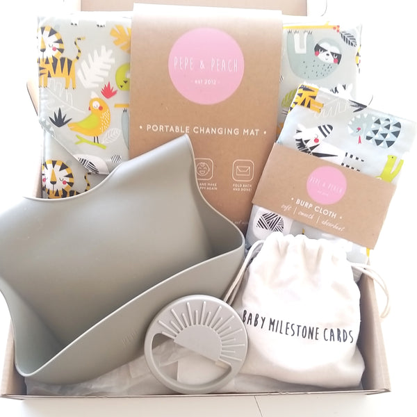 Baby Milestone Gift Set